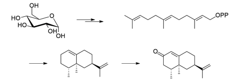 生物合成香料的化學(xué)組成、可持續(xù)性和天然性