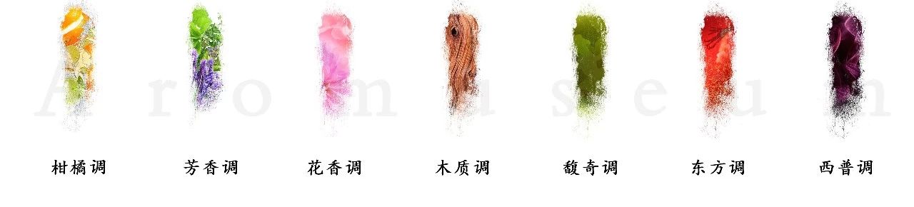 為什么有人一身果香，有人卻一身藿香？